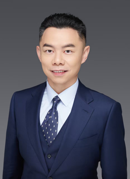 Mr. Kai Lu Chief Advisor (China)